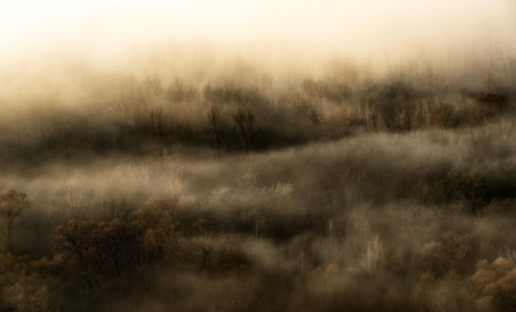 Bild på Foggy field