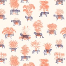 Picture of Where They Belong