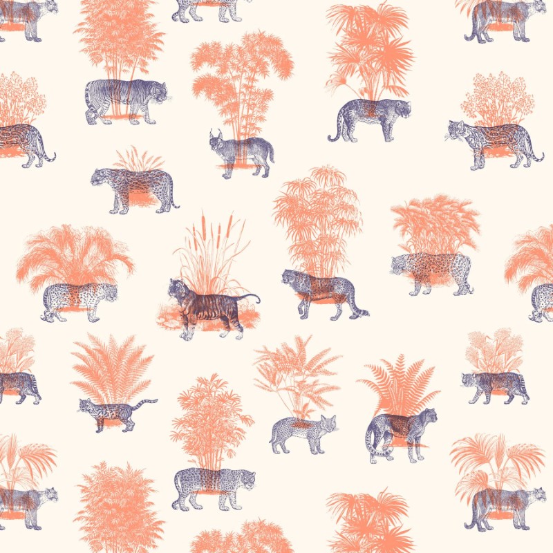 Picture of Where They Belong