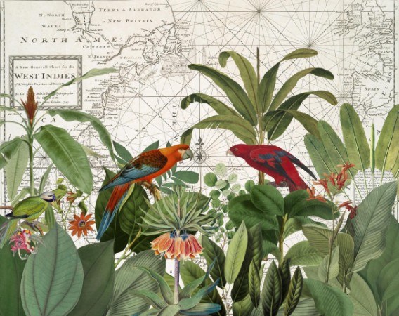 Exotic Wildlife 006 photowallpaper Scandiwall