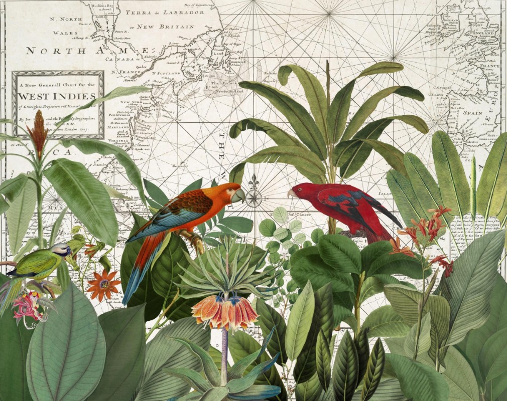 Picture of Exotic Wildlife 006