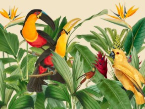 Attēls Rain Forest Bird Garden