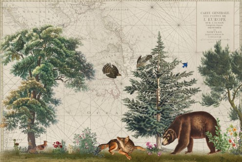 Bild på Nordic Woods 5