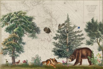 Afbeeldingen van Nordic Woods 5