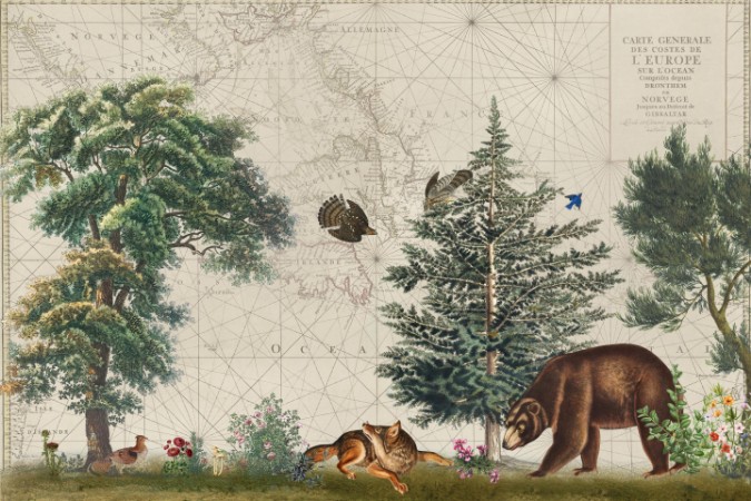 Picture of Nordic Woods 5