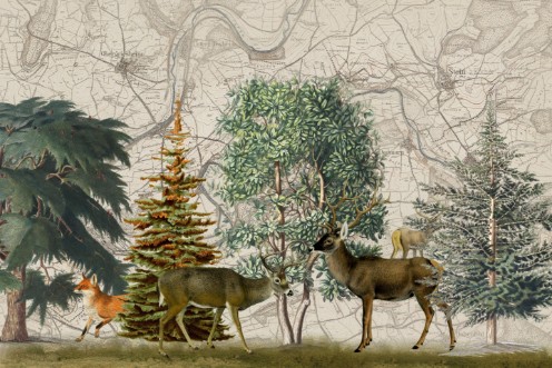 Bild på Nordic Woods No1