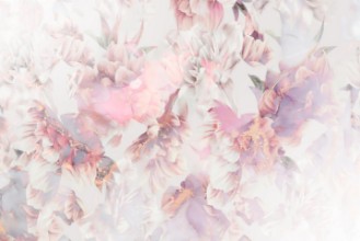 Снимка на Ombre Blossom