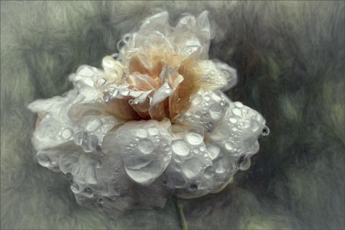 After the shower... photowallpaper Scandiwall