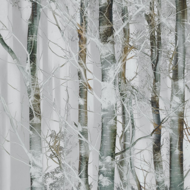 Image de Silver branches