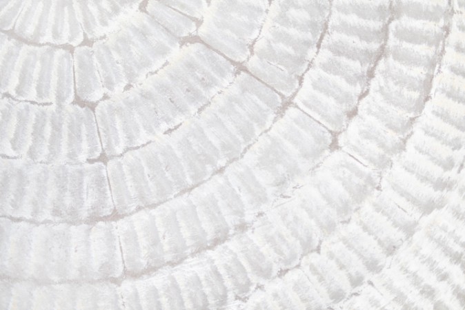 Afbeeldingen van Texture 07