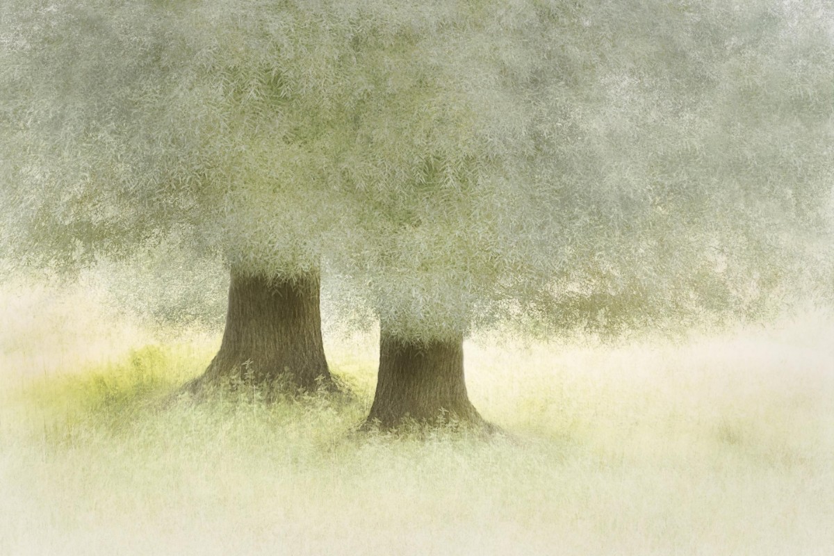 Picture of Friendship