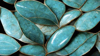 Image de Feuilles turquoise