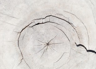 Immagine di Texture 05