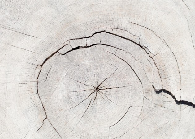 Afbeeldingen van Texture 05