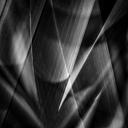 Shadows & Edges... photowallpaper Scandiwall