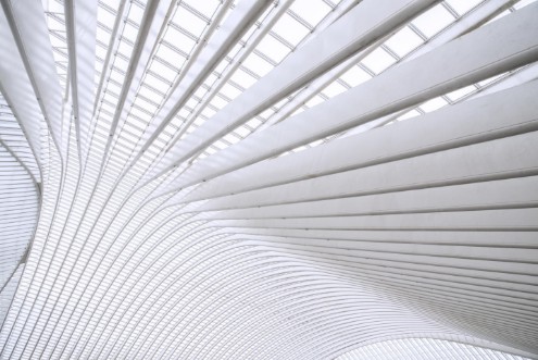 Picture of Curvature