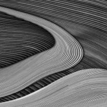 Obrázek The wood project III