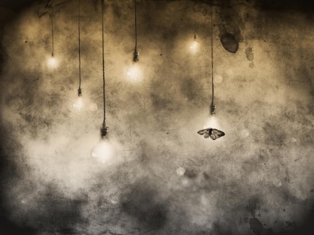 Attraction photowallpaper Scandiwall