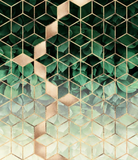 Picture of Leaves and Cubes