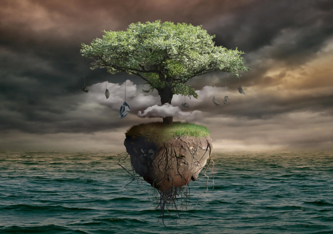 Afbeeldingen van Paralell world 2