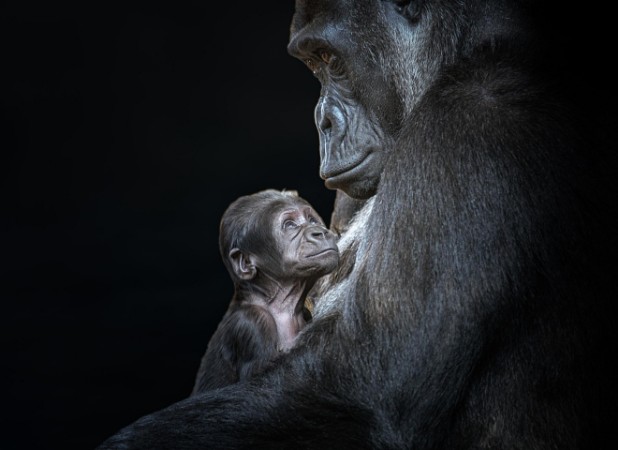 Εικόνα της Mum?