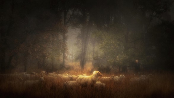 Picture of Frozen in time