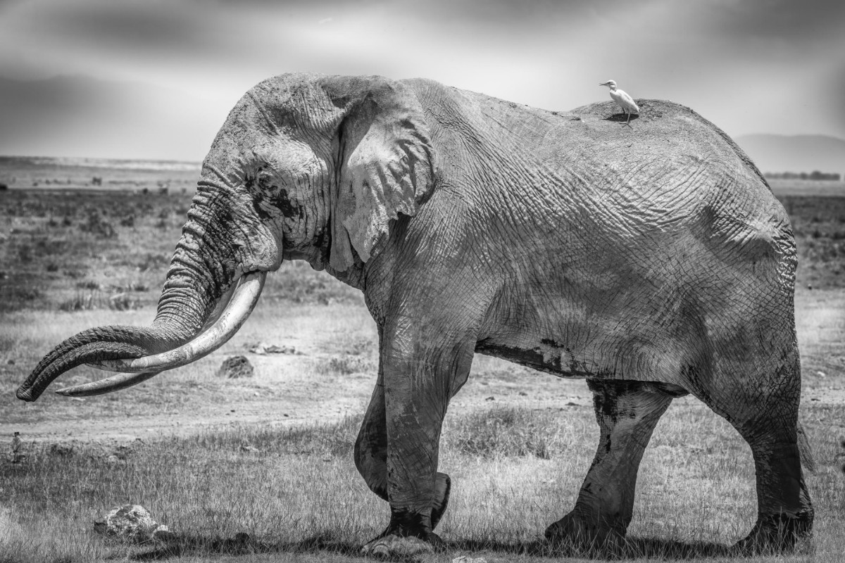 Picture of Mighty Tim and friend