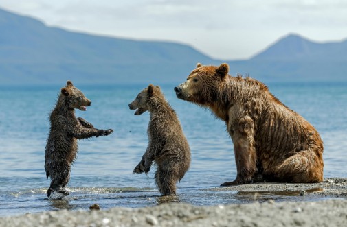 Picture of On the beach