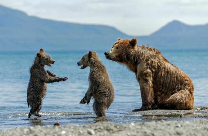 Bild på On the beach