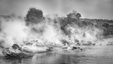 Imagen de The crossing amidst the dust