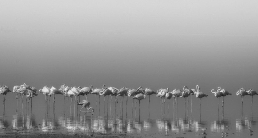 Bild på Comrades at cleaning time