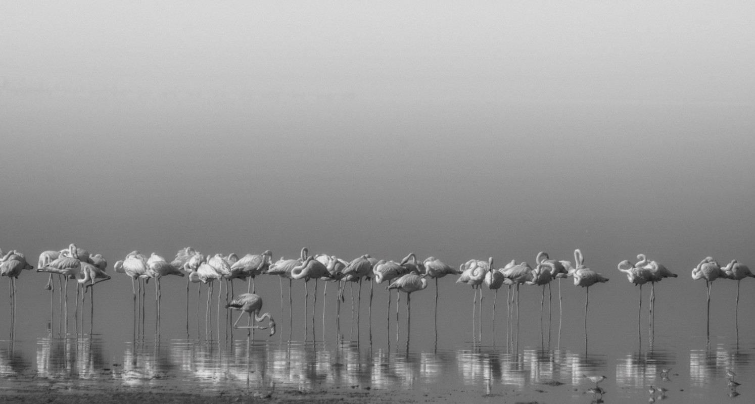 Picture of Comrades at cleaning time