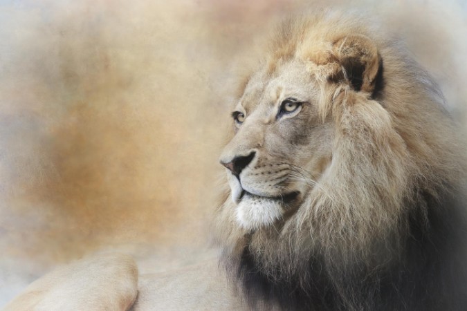 Picture of In Deep Thought