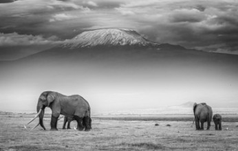 Pilt The land of giants