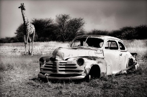 Picture of Aqcuaintance