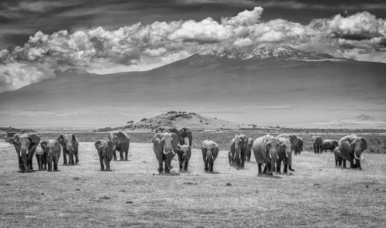 Image de Titanerna - Afrika