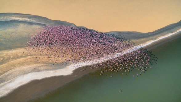 Afbeeldingen van Gone with the wind