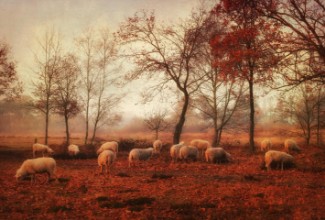 Immagine di Last days of autumn