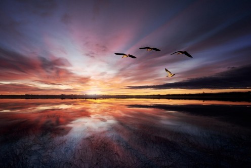 Picture of Morning mood..