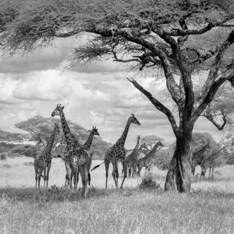 Picture of The tower!