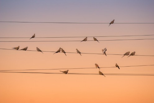 Image de Music of Light