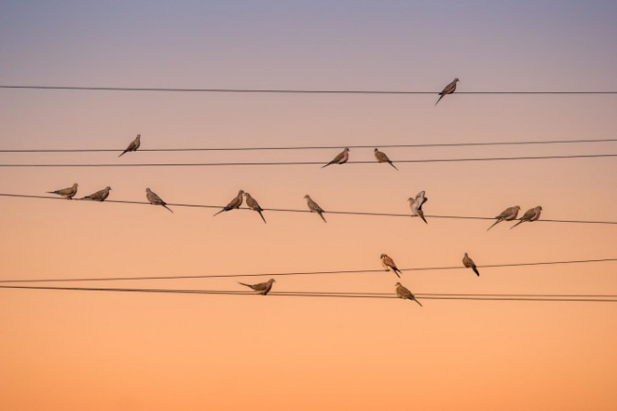 Picture of Music of Light