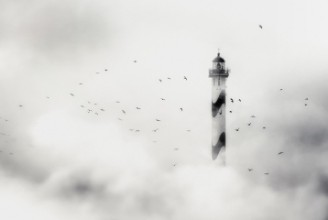 The fog paveikslėlis