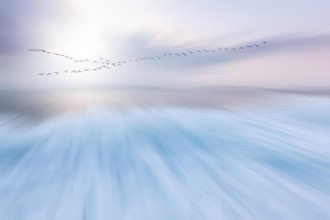 Obrázok z Fly over
