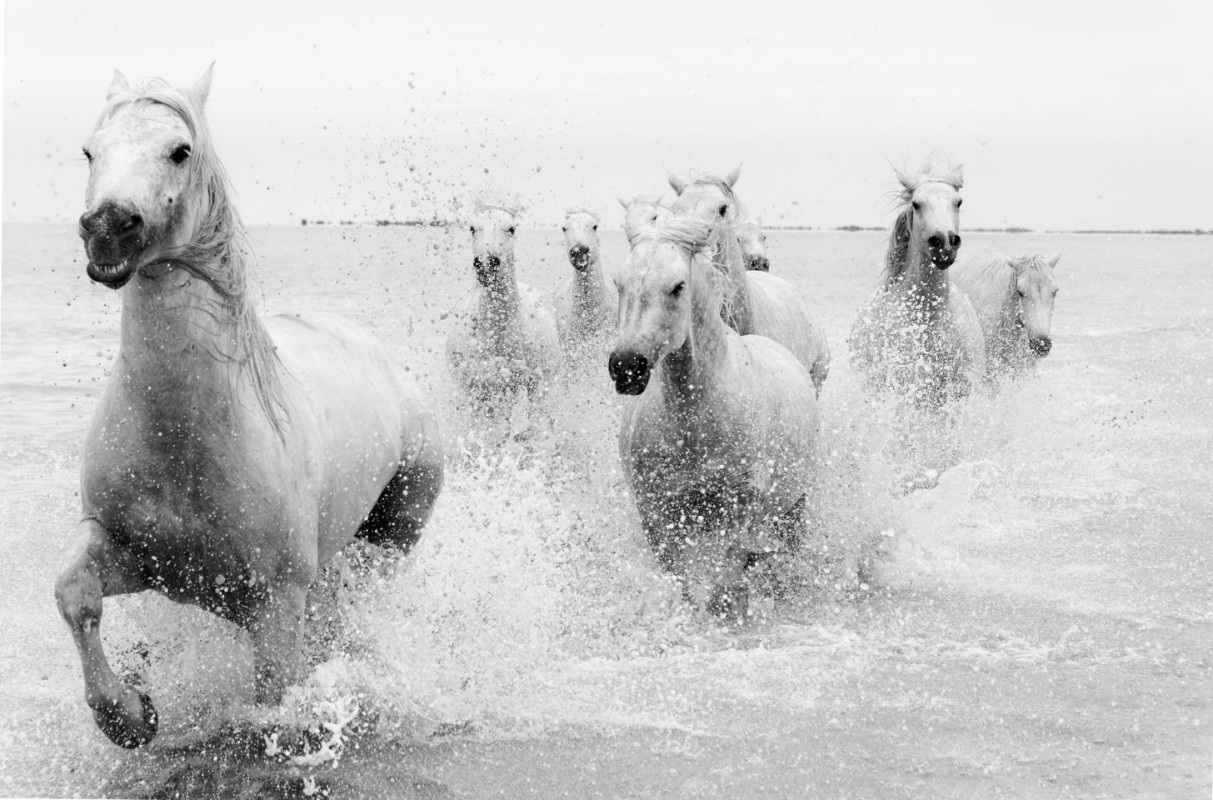 Picture of We are coming