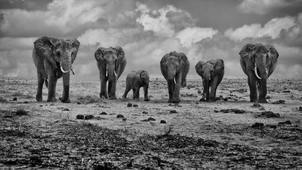 Picture of Big family