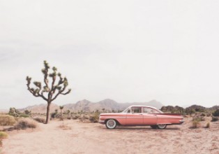 Bild på In the desert
