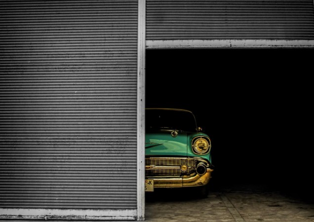 Picture of Hidden Beauty