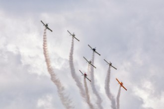 Bild von Friends flying
