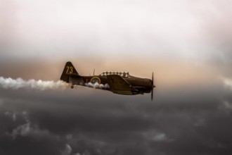 Bild von Airshow Roskilde